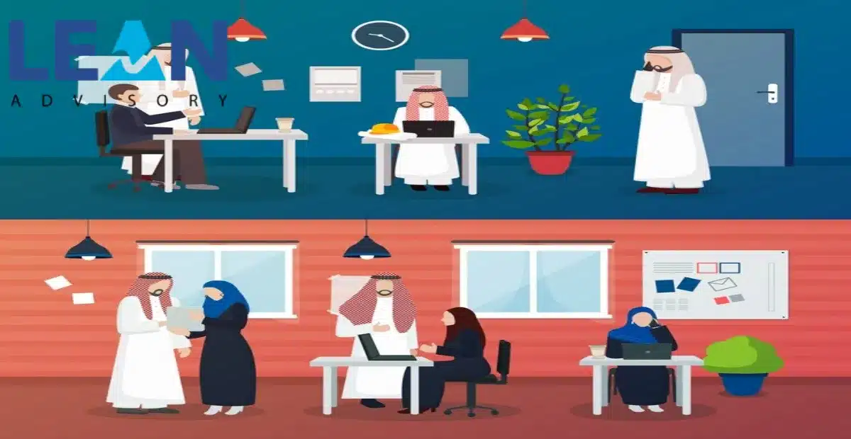 كيف يمكن لدراسة الجدوى أن تساهم في رفع كفاءة الاستثمار في المشاريع الصغيرة والمتوسطة؟