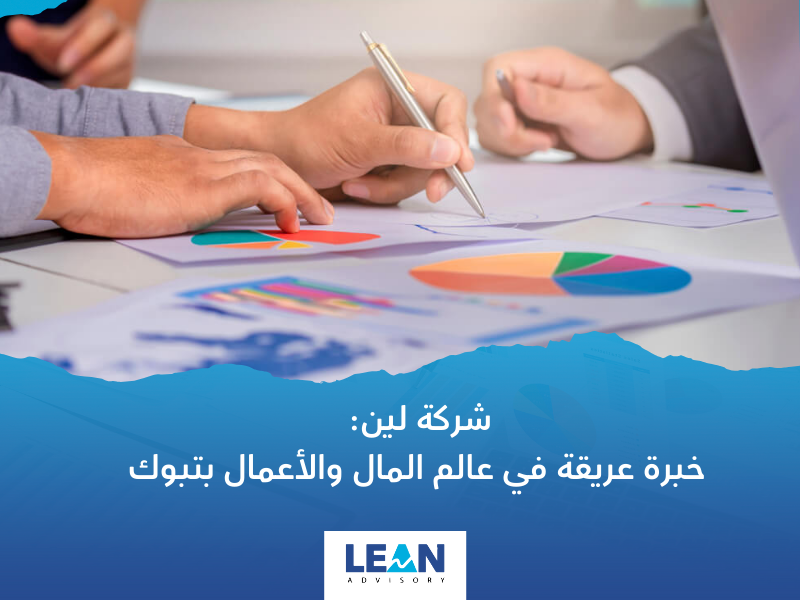 شركة استشارات مالية في تبوك